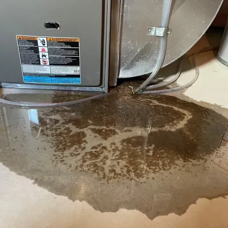 Appliance Leak Cleanup in Northlake, IL